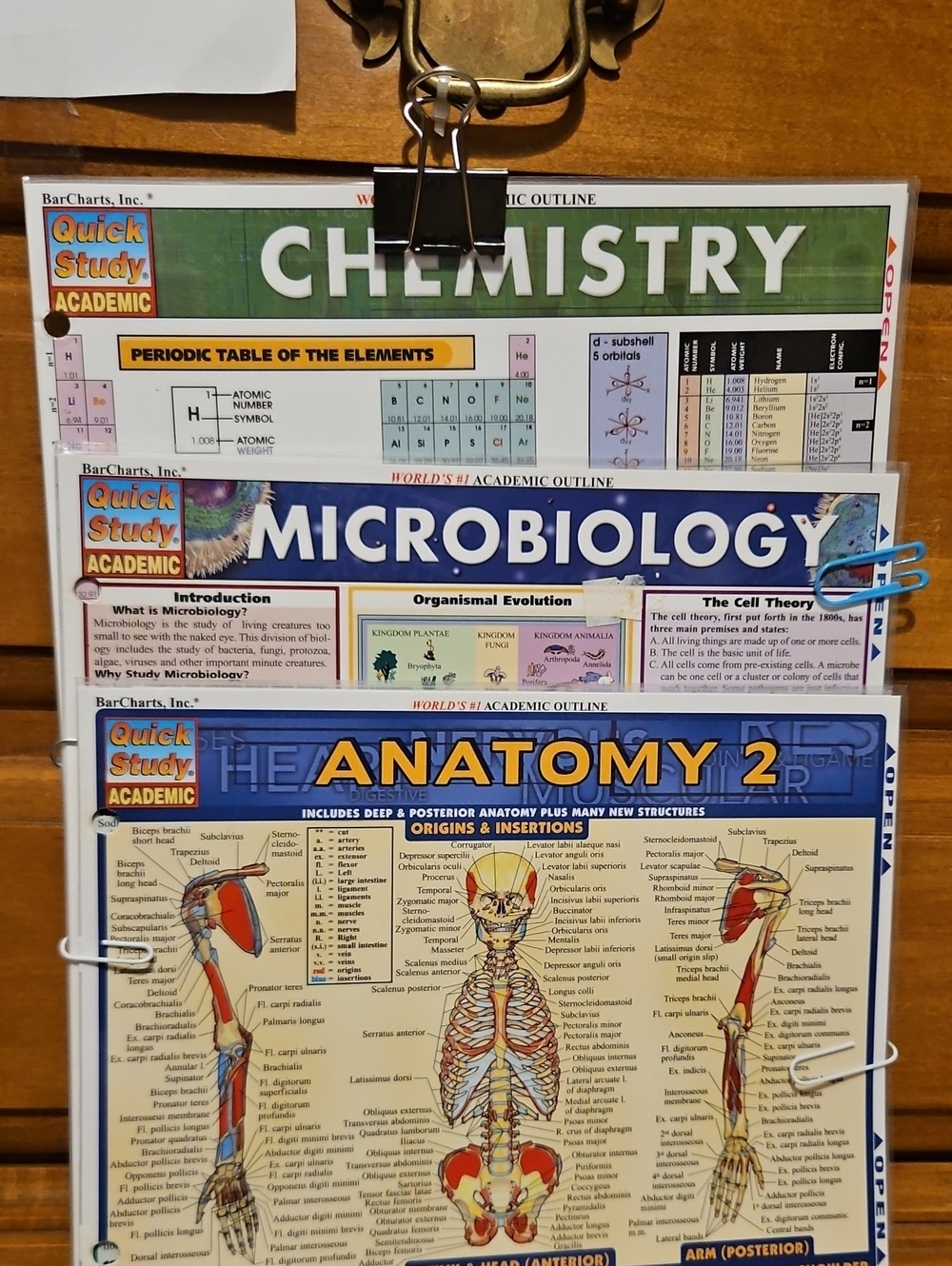 Anatomy 2, Chemistry and Microbiology Study Chart